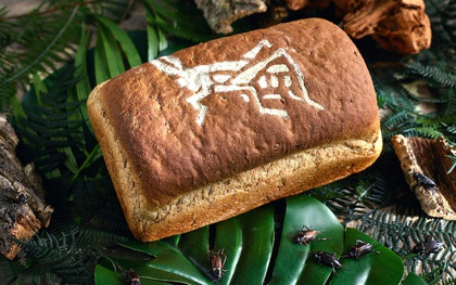 Choáng với bánh mì được làm từ hơn 366 con dế, hội sợ côn trùng nghe tên đã hồn bay phách lạc