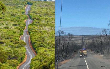 Nước Úc trước và sau thảm họa: Cánh rừng xanh mướt đầy sức sống nay chỉ còn là đống tro tàn, mái nhà của Kangaroo bị huỷ hoại