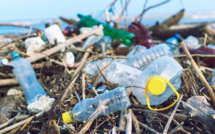 Anh chính thức cấm nhiều loại đồ nhựa sử dụng 1 lần