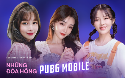 Top những nữ streamer PUBG Mobile xứ Trung xinh đẹp ngất ngây, cộng đồng chỉ vào "ngắm gái" chứ chẳng ai xem game!