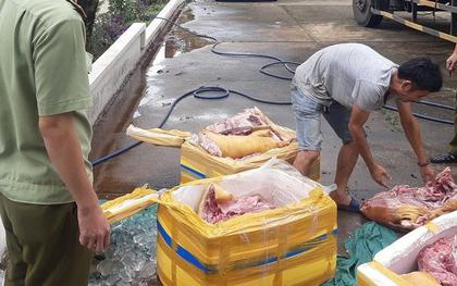 Đắk Lắk: Thu giữ 300kg thịt heo nái bốc mùi hôi thối