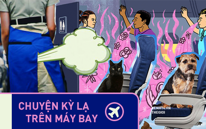 4 câu chuyện quái dị nhất đã từng xảy ra trên các chuyến bay, theo chia sẻ của tiếp viên hàng không