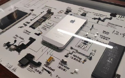 Rộ trào lưu "mổ xẻ" iPhone cũ làm tiêu bản ở Trung Quốc