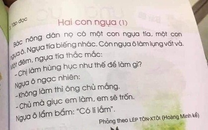 Khẩn trương rà soát và thẩm định lại toàn bộ sách giáo khoa