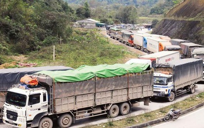 Sau khi thông quan, container chở nông sản Việt tiếp tục mắc kẹt ở Trung Quốc