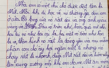 Cười lăn vì đọc bài văn mẹ mới biết con trai bày tỏ tình cảm "không bao giờ tan vỡ" với 1 đối tượng không ngờ