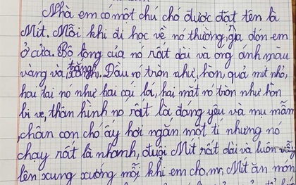 Cười lăn vì đọc bài văn mẹ mới biết con trai bày tỏ tình cảm "không bao giờ tan vỡ" với 1 đối tượng không ngờ