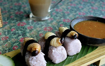 Rùng mình trước loại sushi "ngoe nguẩy" mà không phải thực khách nào cũng đủ can đảm ăn thử một lần