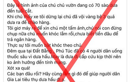Công an mời người tung tin nhảm 4 người uống thuốc sâu vì dưa hấu lên làm việc