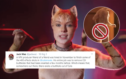 Trần như nhộng chưa đủ sợ, netizen đòi NSX Cats tung link lộ "phao câu" của cô mèo Taylor