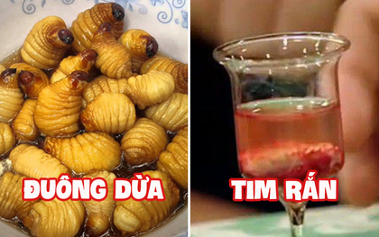 Những món ăn sống kinh dị nhất Việt Nam: có món là đặc sản nổi tiếng nhưng vẫn khiến nhiều người “khiếp đảm”