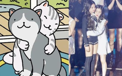 Những khoảnh khắc các chú mèo trong Adorable Home có thần thái "chanh sả" như học theo idol Hàn Quốc!