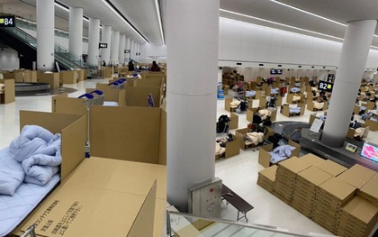 Hành khách đến Nhật Bản phải ngủ trong thùng các-tông ở sân bay với điều kiện đáng lo ngại trong lúc chờ xét nghiệm Covid-19