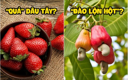 4 loại trái cây “ngược đời” nhất thế giới đã đánh lừa chúng ta bấy lâu nay, đọc xong những sự thật này ai cũng ngạc nhiên