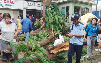 Nóng: Cây phượng vĩ bật gốc đè nhiều học sinh ở TP.HCM, 1 em tử vong