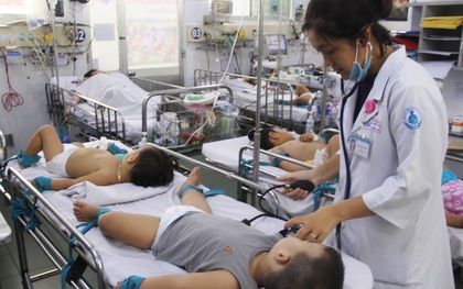 Xuất hiện 6 ổ dịch sốt xuất huyết trên địa bàn 4 quận, huyện ở TP.HCM