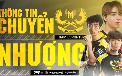 Vừa về đã đi, GAM Esports rao bán luôn "hàng hot" Ma Vương - Zeros