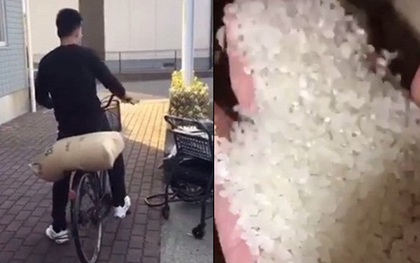 Sống ở Nhật Bản, chàng trai người Việt hàng ngày muốn ăn được cơm thì phải tự bê bao gạo đi làm một việc mà ai cũng không thể ngờ