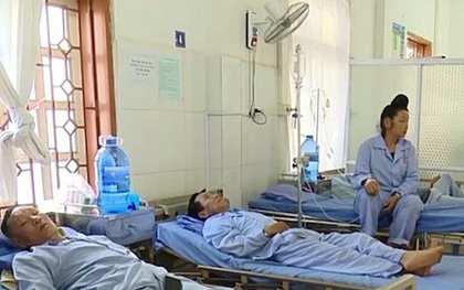 19 người ở Sơn La bị ngộ độc vì ăn bọ xít