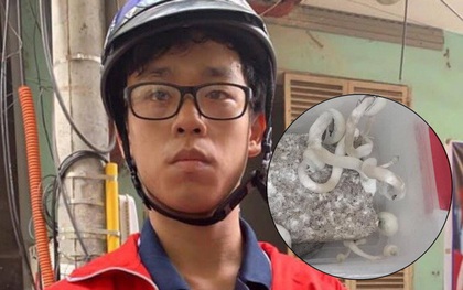 Thông tin bất ngờ về nam sinh 19 tuổi trồng "nấm ma tuý": Từng nhiều năm là học sinh giỏi, bị stress nên dùng nấm giải khuây
