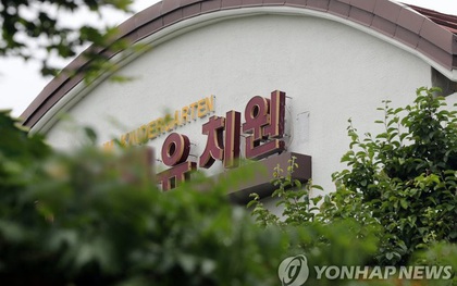Hàn Quốc: Hàng chục trẻ mẫu giáo nhập viện nghi ngộ độc thực phẩm