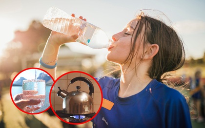 Nước đóng chai, nước khoáng, nước máy đun sôi: loại nước nào uống trong thời gian dài thì tốt cho sức khỏe lẫn ví tiền?