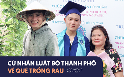 Cử nhân Luật bỏ thành phố lên Đà Lạt trồng rau, bị cha mẹ phản đối nhưng 1 năm sau nhận lại thành quả bất ngờ