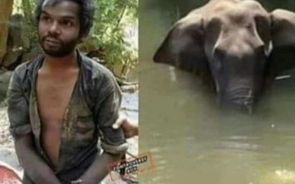 Sự thật về người đàn ông bị nghi là thủ phạm cho voi mẹ ăn trái dứa có thuốc nổ để rồi chết đứng trên sông