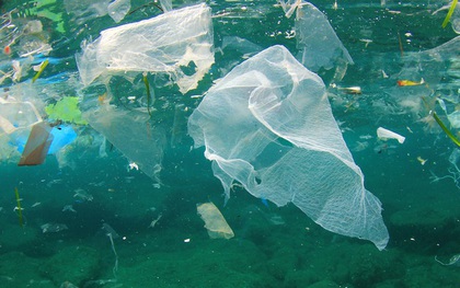 Pháp tăng mức phạt cho hành động vứt bừa bãi khẩu trang, găng tay nhựa