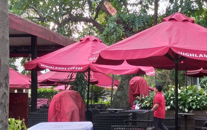 Hà Nội: Cành cây gãy trúng quán cà phê khiến nhiều người chạy tán loạn