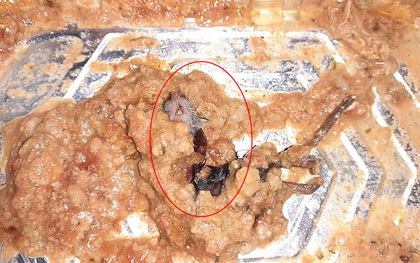 Ăn gần hết khay thịt gà nướng mới phát hiện nguyên con chuột chết bên trong, người phụ nữ kinh hãi đến mức nôn suốt 12 tiếng