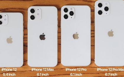 Trên tay mô hình iPhone 12, iPhone 12 Max, iPhone 12 Pro và iPhone 12 Pro Max tại Việt Nam