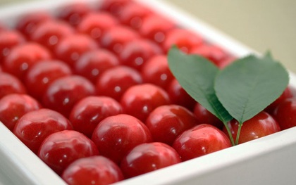 Soán ngôi đầu hoa quả nhập siêu đắt tháng 7: Gọi tên cherry "đặc sản" của Nhật, về Việt Nam giá "chạm nóc" 6,6 triệu đồng/kg