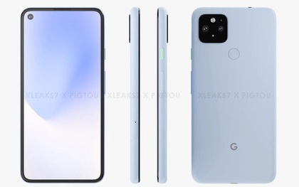 Pixel 5 XL lộ thiết kế: Màn hình "nốt ruồi", cụm camera hình vuông, cảm biến vân tay mặt lưng