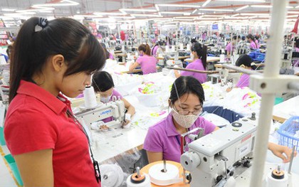 ILO cảnh báo khủng hoảng việc làm của thanh niên do Covid-19 gây ra