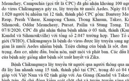 An Giang tăng cường kiểm soát "bệnh lạ" Chikugunya đang lây lan tại Campuchia