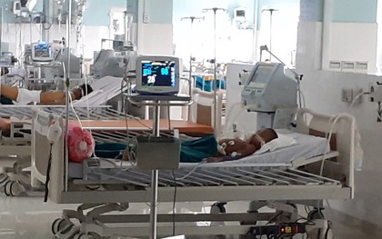 Người đàn ông nguy kịch vì bị đàn ong vò vẽ tấn công
