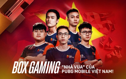 Phỏng vấn "nhà vua" PUBG Mobile Việt Nam: "Nếu để so sánh với đội hình ngày trước thì BOX Gaming hiện tại mạnh hơn rất nhiều"