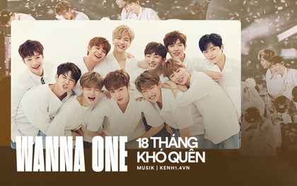 3 năm tồn tại một “tân binh huyền thoại” Wanna One, nhớ lại 18 tháng ngắn ngủi cũng là đủ để fandom đi hết một “vòng đời” rực rỡ