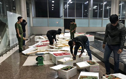 Lâm Đồng tiêu hủy hơn 8,7 tấn dâu tây, nghi nhập từ Trung Quốc
