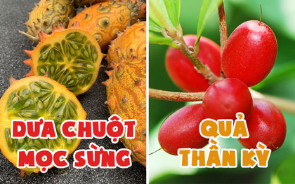 10 loại quả hiếm có khó tìm nhất thế giới nhưng Việt Nam đã có 4 trong số đó, còn mọc nhiều là đằng khác