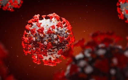 Phát hiện kháng thể có thể “vô hiệu hóa hoàn toàn” virus SARS-CoV-2