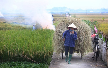 Từ 01/01/2021, Hà Nội không còn hoạt động đốt rơm rạ