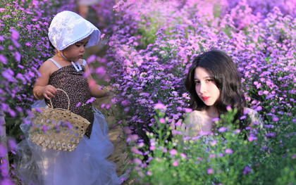 Dân tình chen chúc "sống ảo" tại vườn hoa thạch thảo đẹp lịm tim lần đầu được trồng ở Đà Nẵng