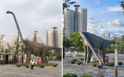 Bão lớn đánh gãy cả cổ khủng long ở công viên Hàn Quốc, cư dân mạng rần rần đòi... bó bột