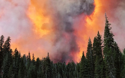 Giải cứu hơn 200 người bị mắc kẹt do cháy rừng ở California, Mỹ