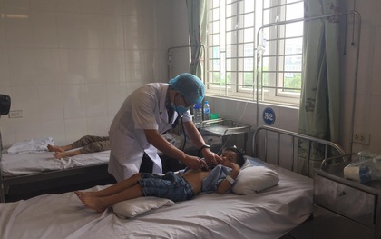 Nghệ An: 16 học sinh tiểu học nhập viện do bị ong đốt