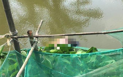 Phát hiện thi thể người đàn ông Trung Quốc chết ở Bạc Liêu
