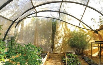 Covid-19: Israel có hơn 13.000 ca, nhiều ca hồi phục hơn ca mắc mới