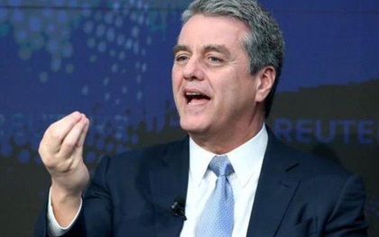 Tổng giám đốc WTO bất ngờ từ chức